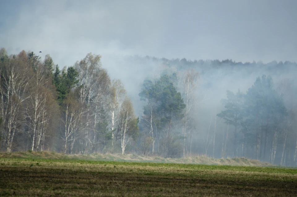 Минприроды Свердловской области отчитался о готовности к сезону лесных пожаров