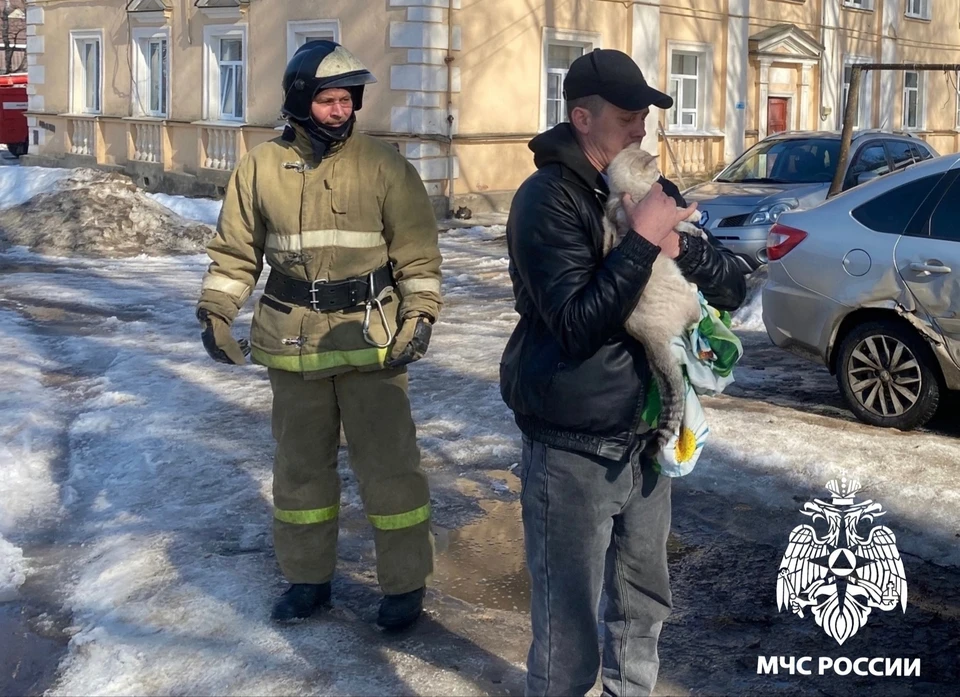 Кота сняли с дерева и передали хозяину Фото: ГУ МЧС России по Тверской области