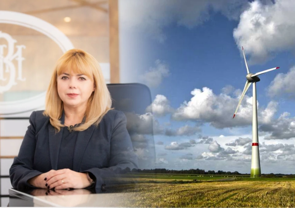 Анка Драгу призывает иностранцев инвестировать в зелёную энергетику. Фото: Коллаж КП