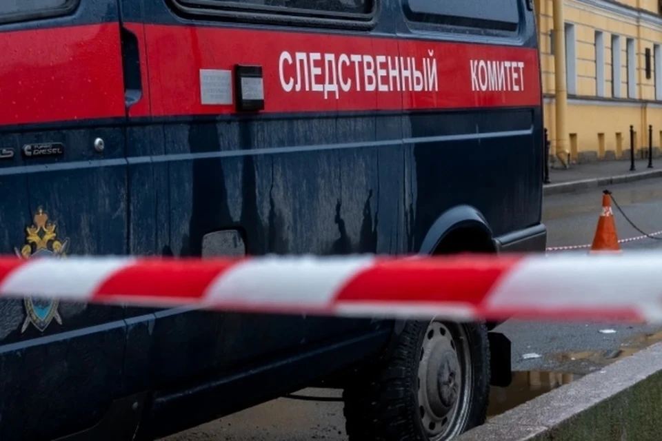 В Петербурге возбудили уголовное дело после смерти школьницы на вписке