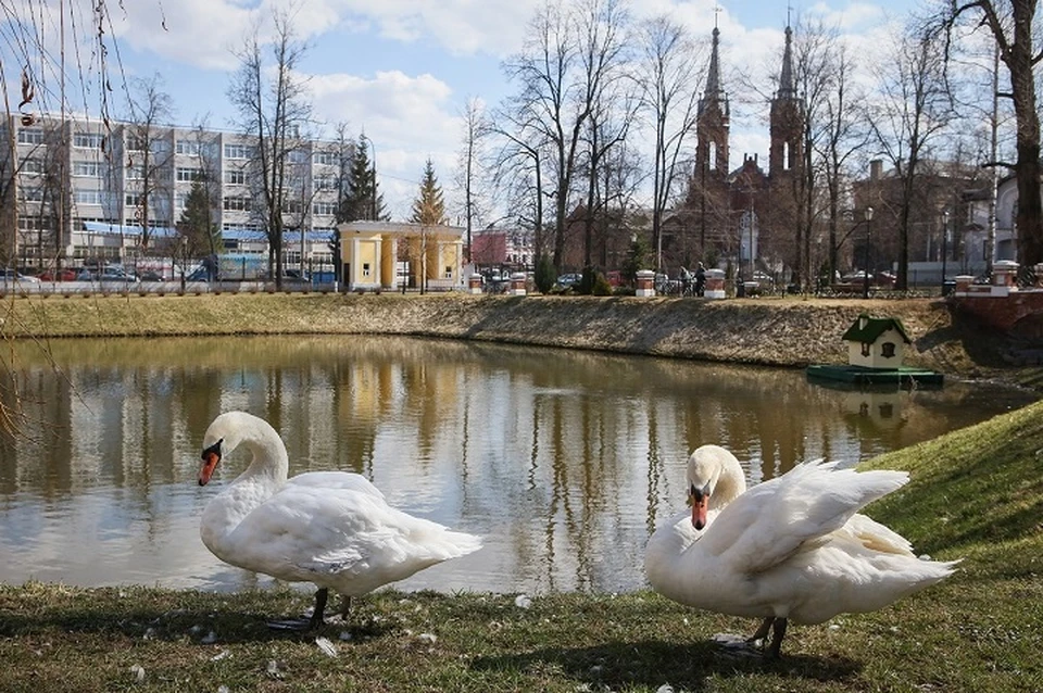 В Рыбинске закрыли Карякинский парк.