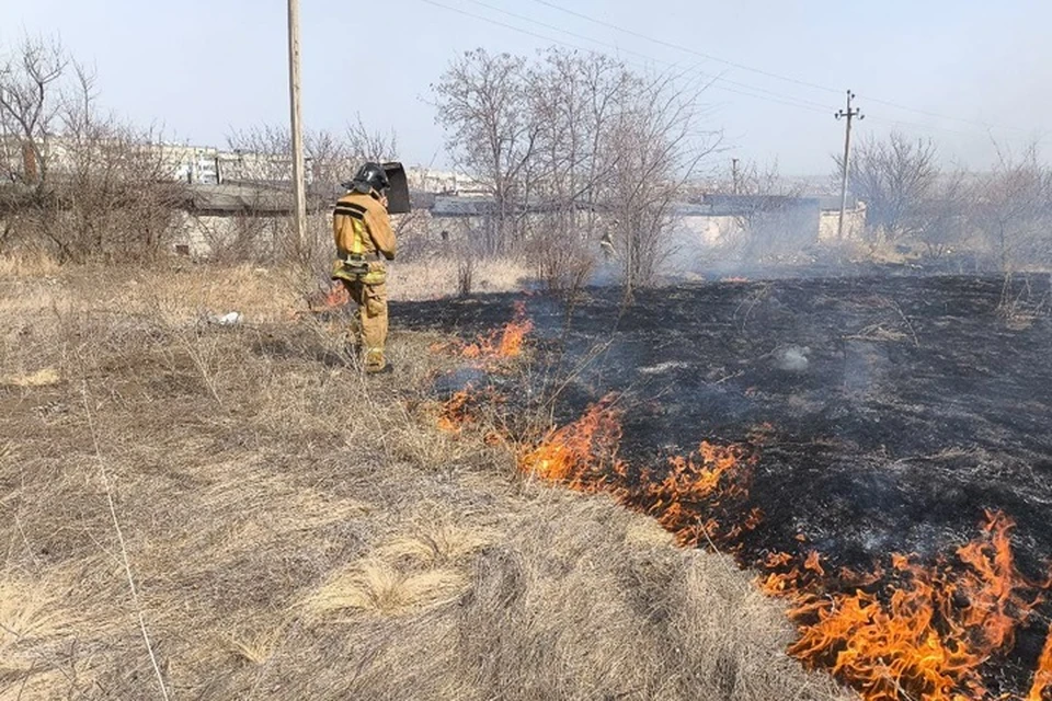 В поселке Юбилейный на улице Садовая горели 500 квадратных метров сухой травы. Фото - МЧС ЛНР