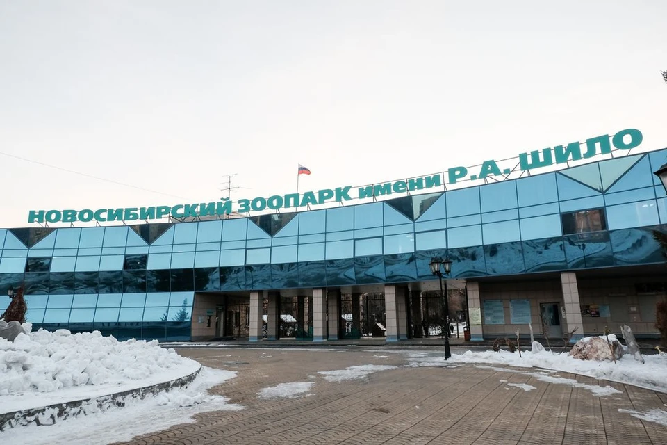 Новосибирский зоопарк претендует на победу во всероссийской парковой премии.