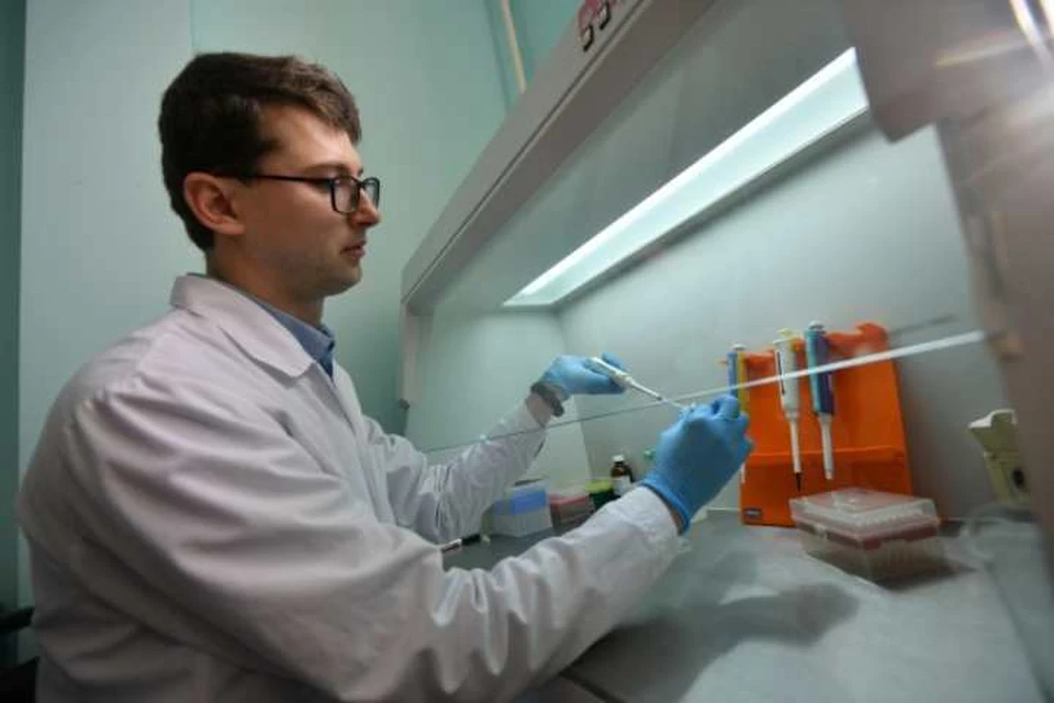 Ученые из Иркутска изучают микроорганизмы туберкулезных очагов в легком