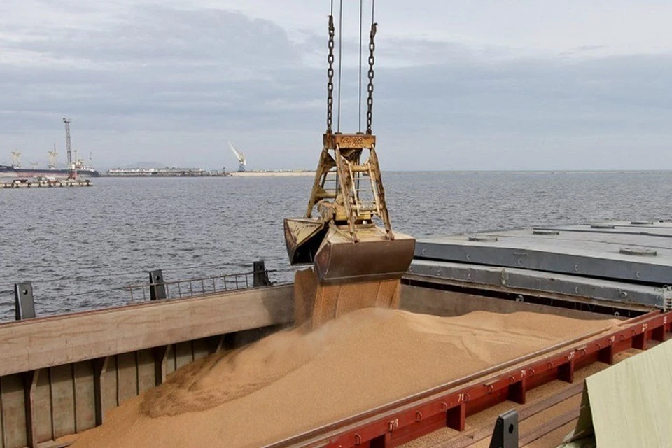 Партия пшеницы объемом 7,6 тысячи тонн отгружена с портового склада Мариуполя. Фото: Минтранс ДНР