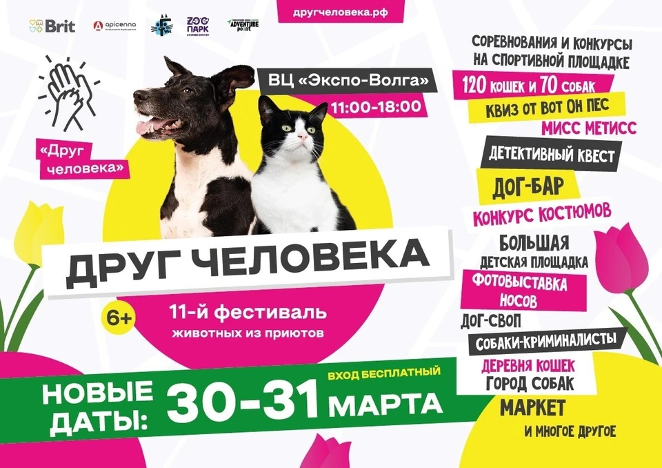 Самарцы смогут бесплатно "усыновить" домашнего питомца. Фото: "ФлагманВет"