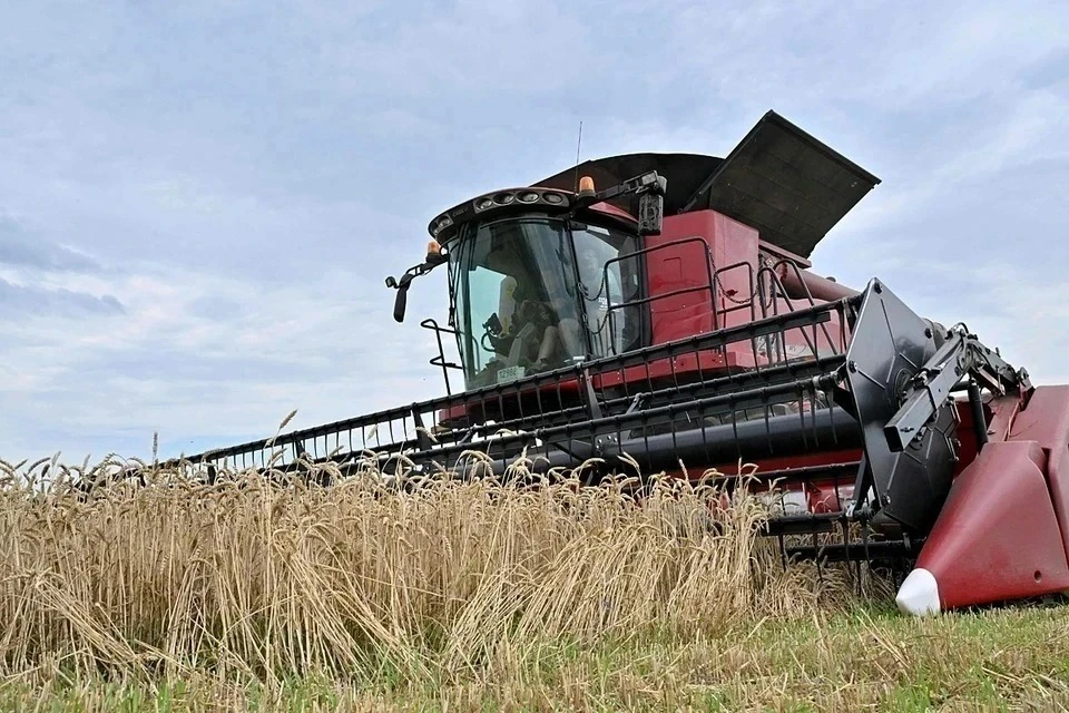 Россельхознадзор предупредил ЕС о последствиях введения пошлины на зерно из РФ