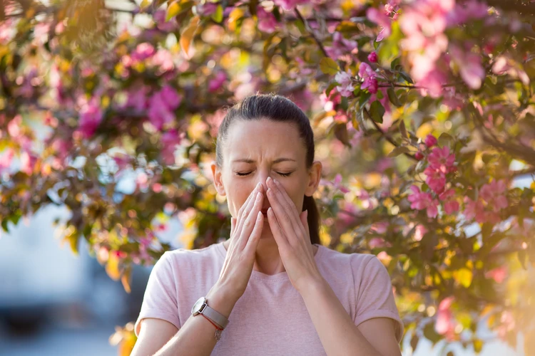 Сезон аллергии - 2024: когда нас ждут «пыльцевые бури» и как отличить «сенную лихорадку» от простуды