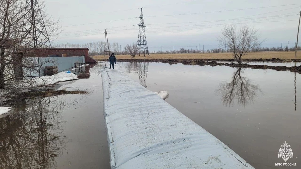 Паводок 2024 в Алтайском крае