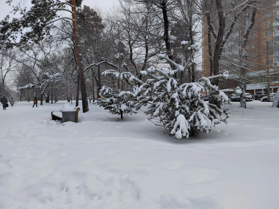 Небольшой снег пройдет в Хабаровском крае 1 апреля