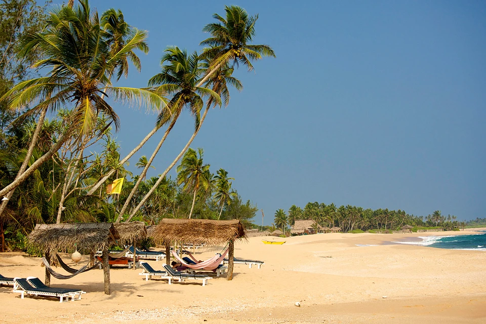 600 тысяч иностранных туристов побывали на Шри-Ланке с начала 2024 года