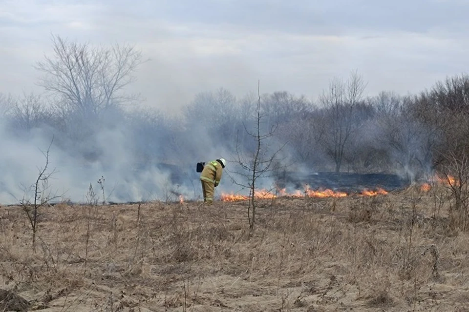 3 апреля на территории ЛНР выгорело 97 гектаров сухой травы. Фото - МЧС ЛНР