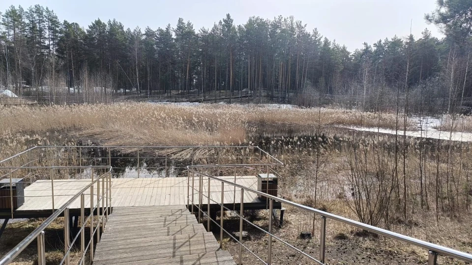Утиное озеро в Дзержинске расчистят до июля 2025 года. Фото: пресс-служба правительства Нижегородской области.