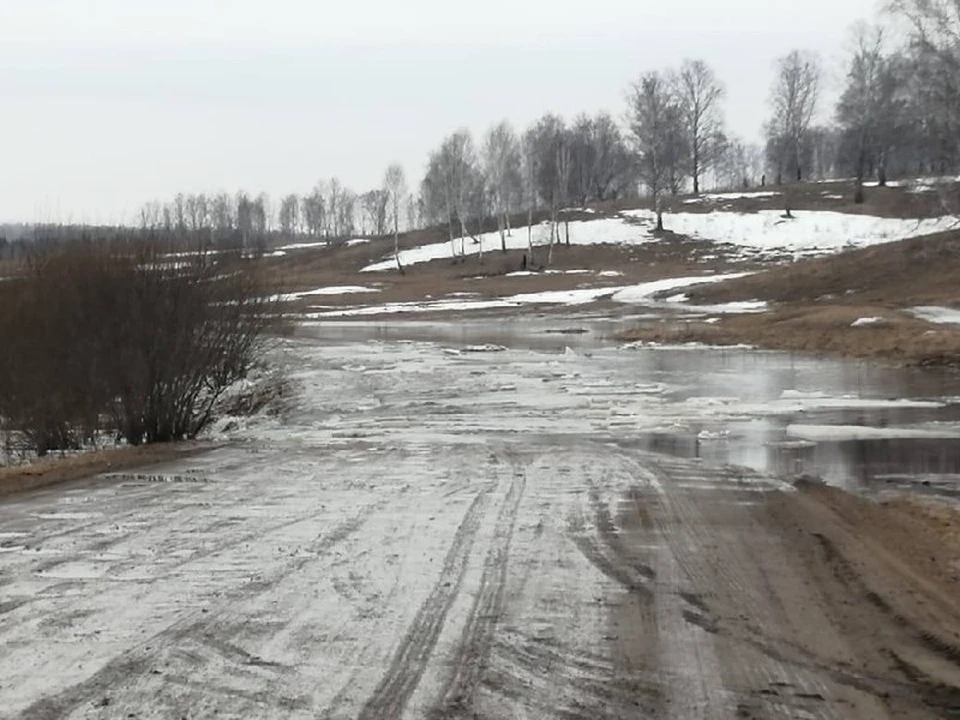 Фото: ГИБДД по Красноярскому краю