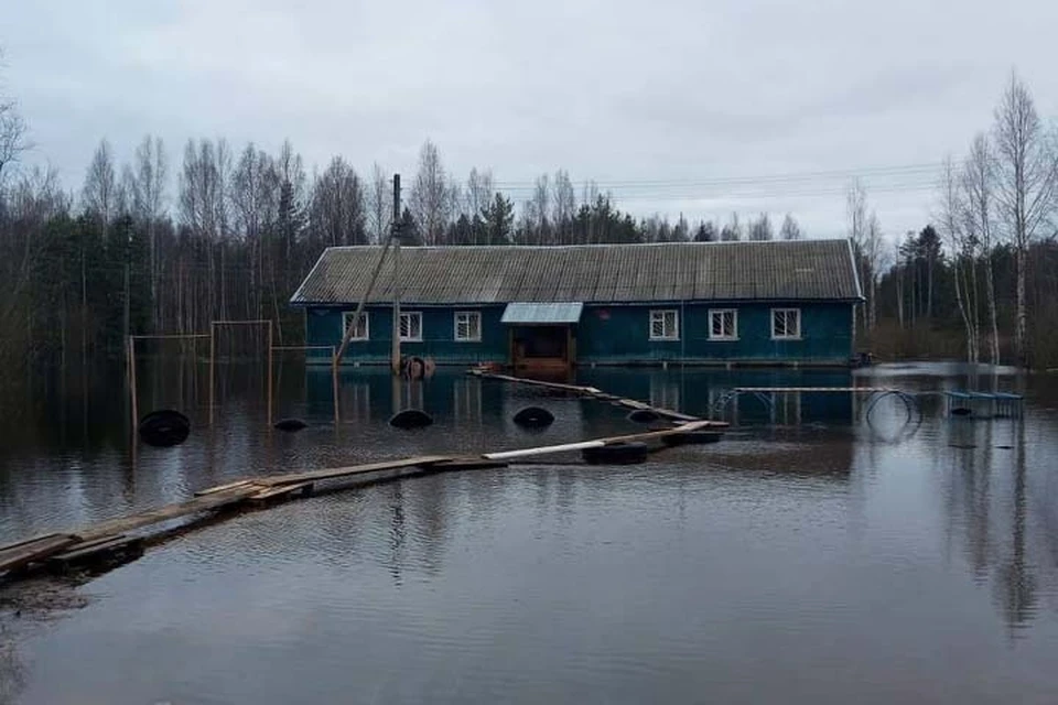 В Тверской области затопленными остаются 152 приусадебных участка Фото: прокуратура Тверской области