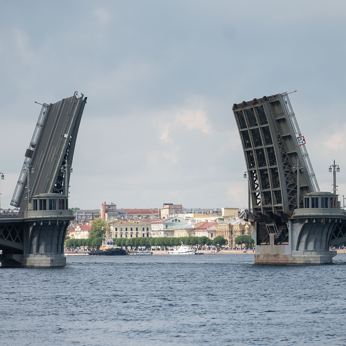 Сезон навигации 2024: Опубликовали новый график разводки мостов в  Петербурге - KP.RU