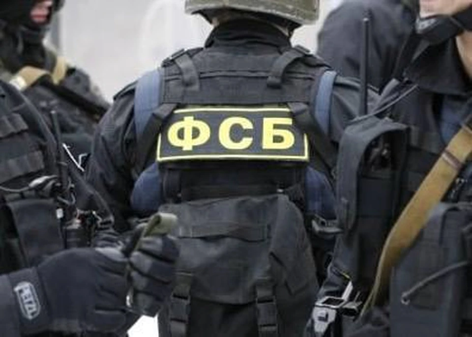 В Запорожской области силофики ФСБ задержали пособницу СБУ