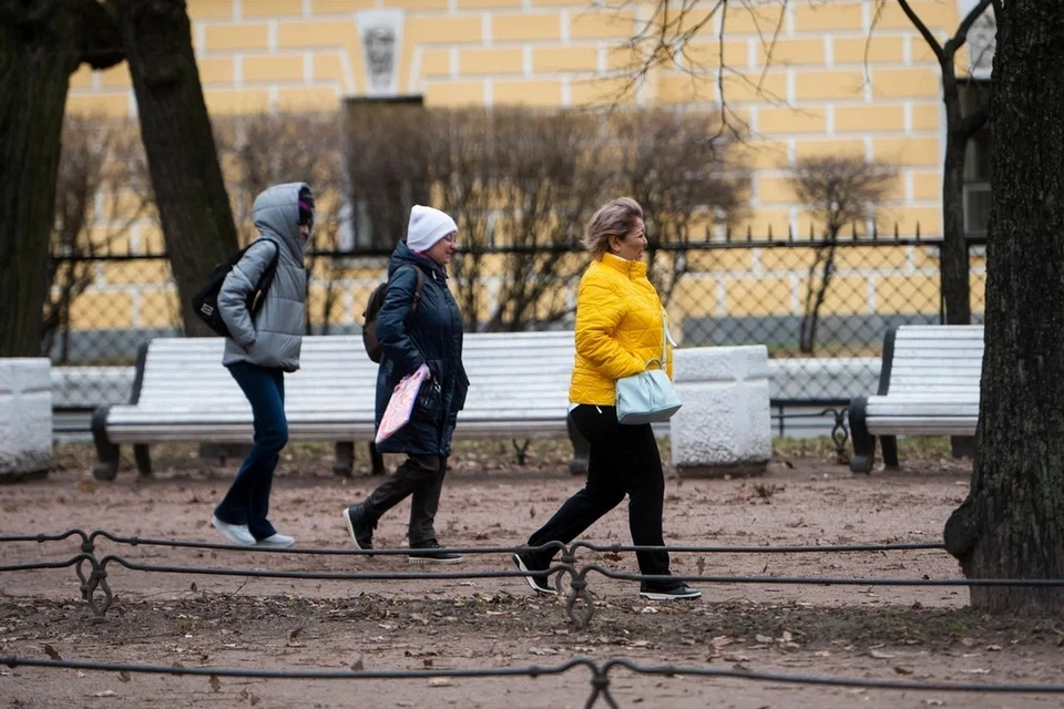 Сильный ветер ожидается в Петербурге 10 и 11 апреля.