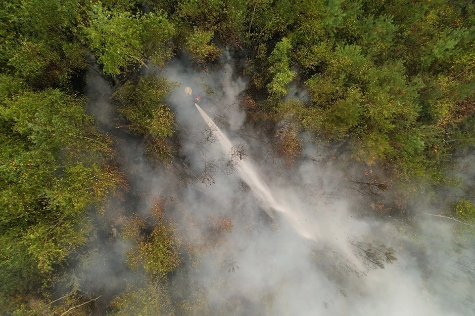 Два лесных пожара тушат в Хабаровском районе