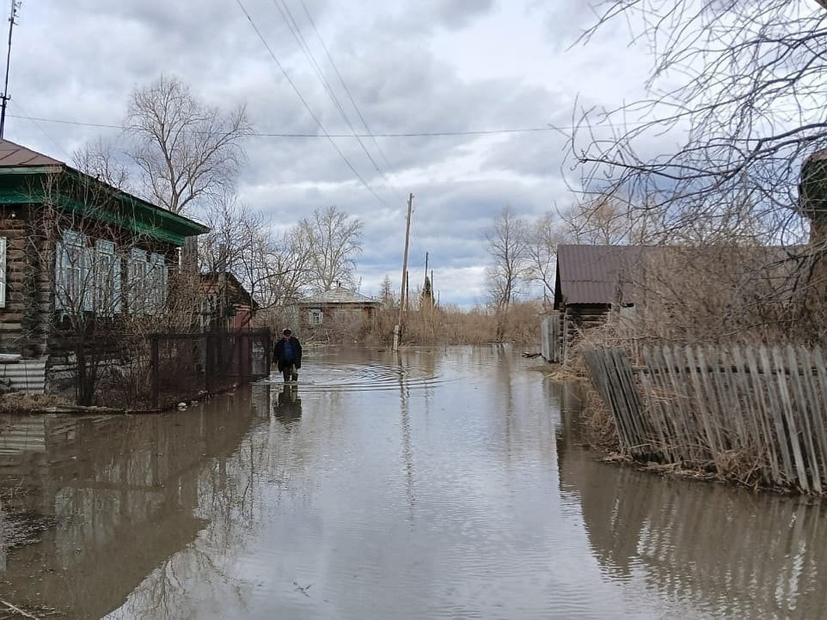 «Не по прогнозу»: в Курганской области река устремилась в неожиданном  направлении и затопила село - KP.RU