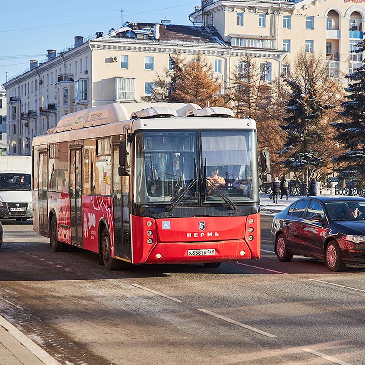 Когда в 2024 году начнут ходить сезонные автобусы в Пермском крае - KP.RU