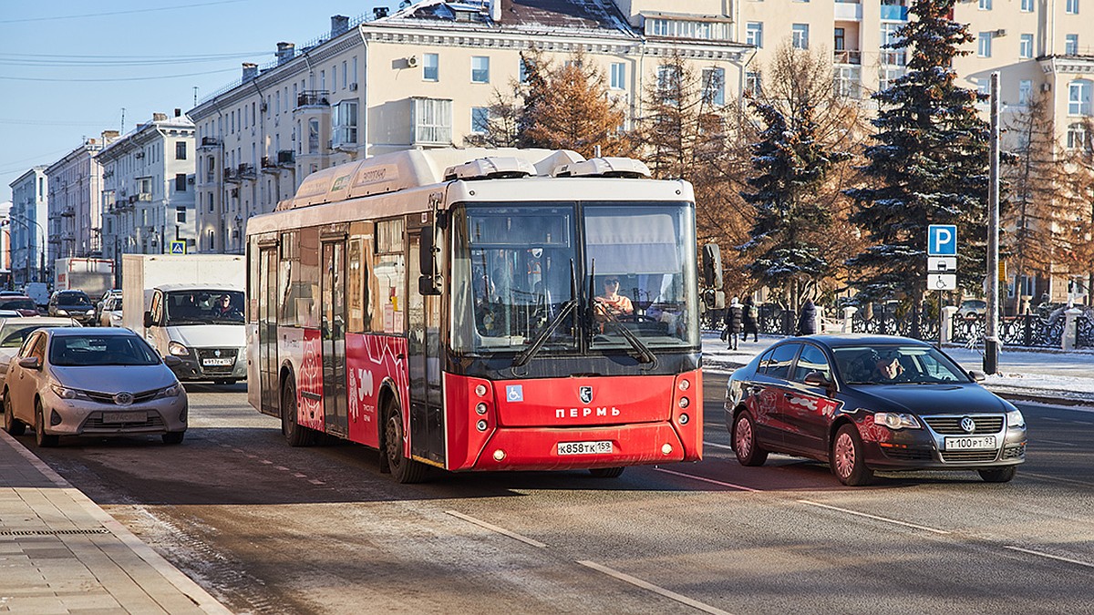 Когда в 2024 году начнут ходить сезонные автобусы в Пермском крае - KP.RU