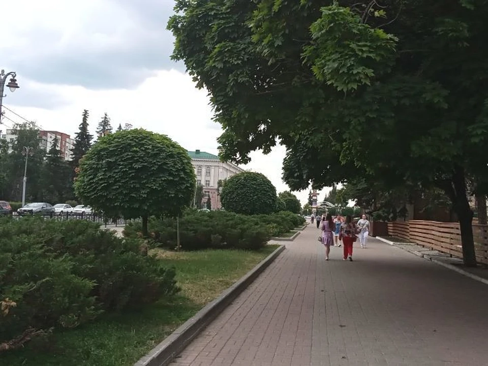 Курск - малая родина учителя Королева, Бориса Петропавловского