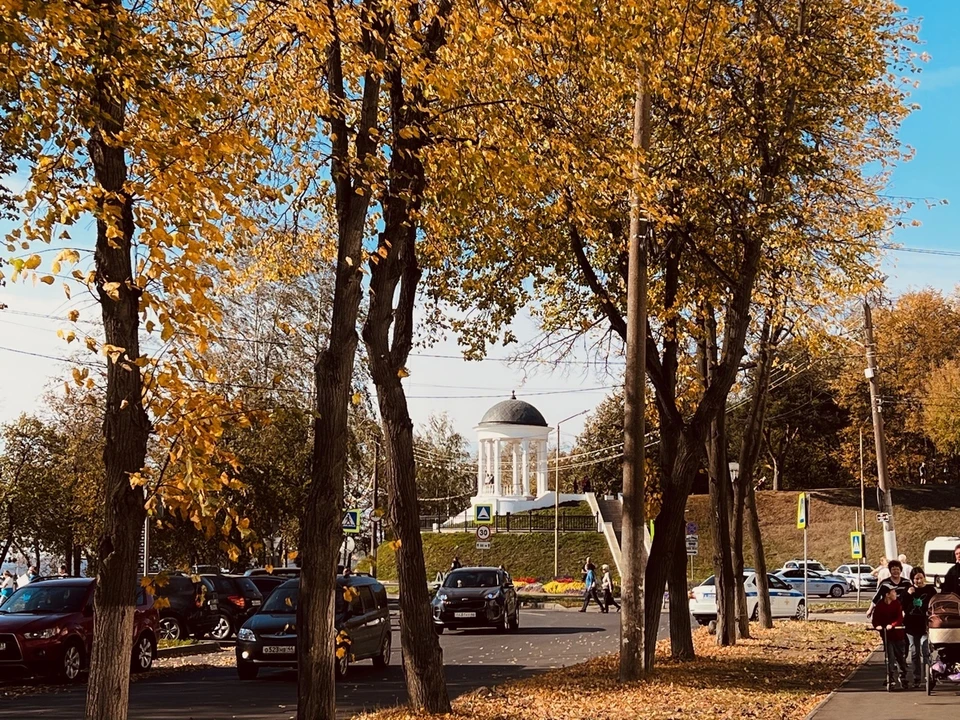 Источник: фотоархив "КП Кострома" / Александр Киуру