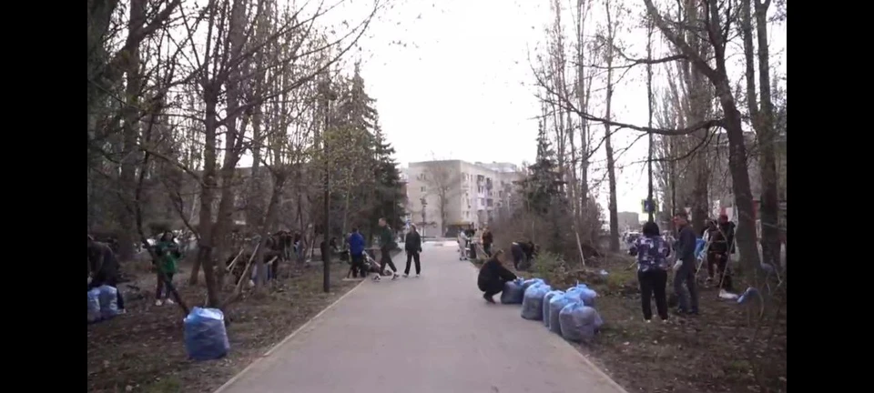 В Саратовском субботнике приняли участие 7 тысяч человек (фото: администрация саратова)