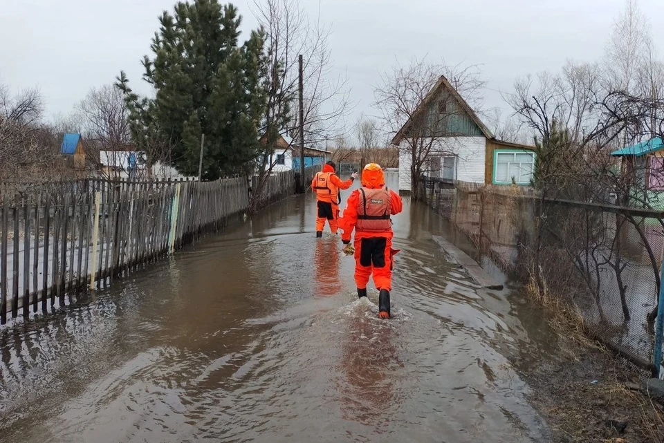 Фото: спасатели Красноярского края