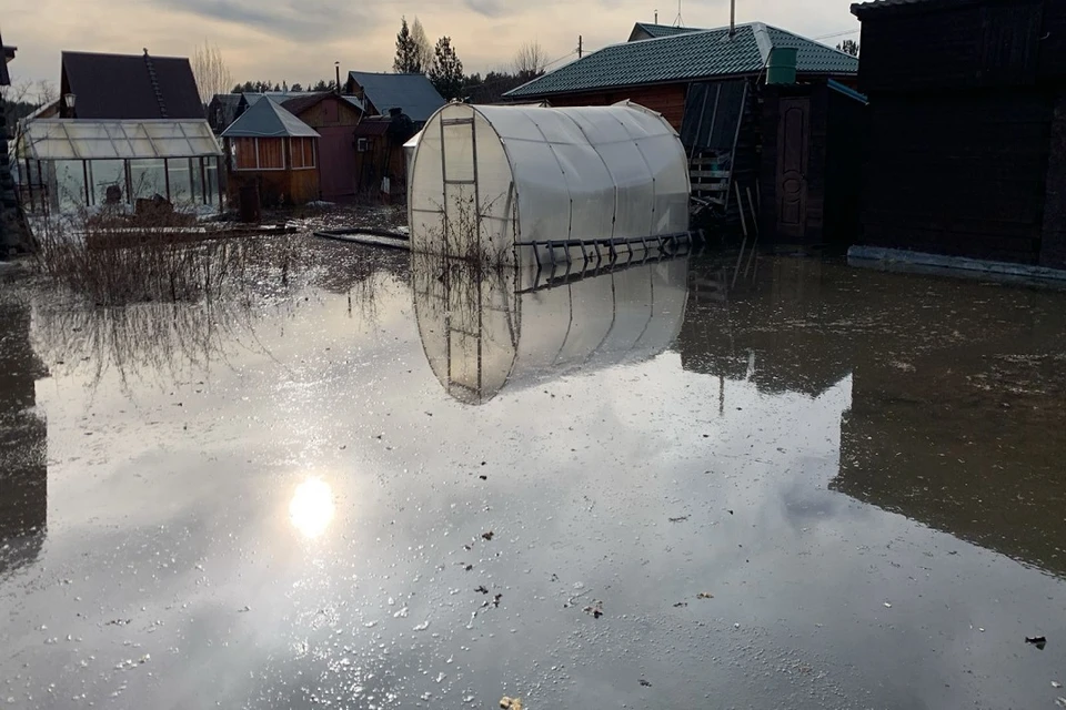 Власти назвали причину затопления СНТ «Солнечная Долина» под Новосибирском. Фото: предоставлено игорем Шутовым.