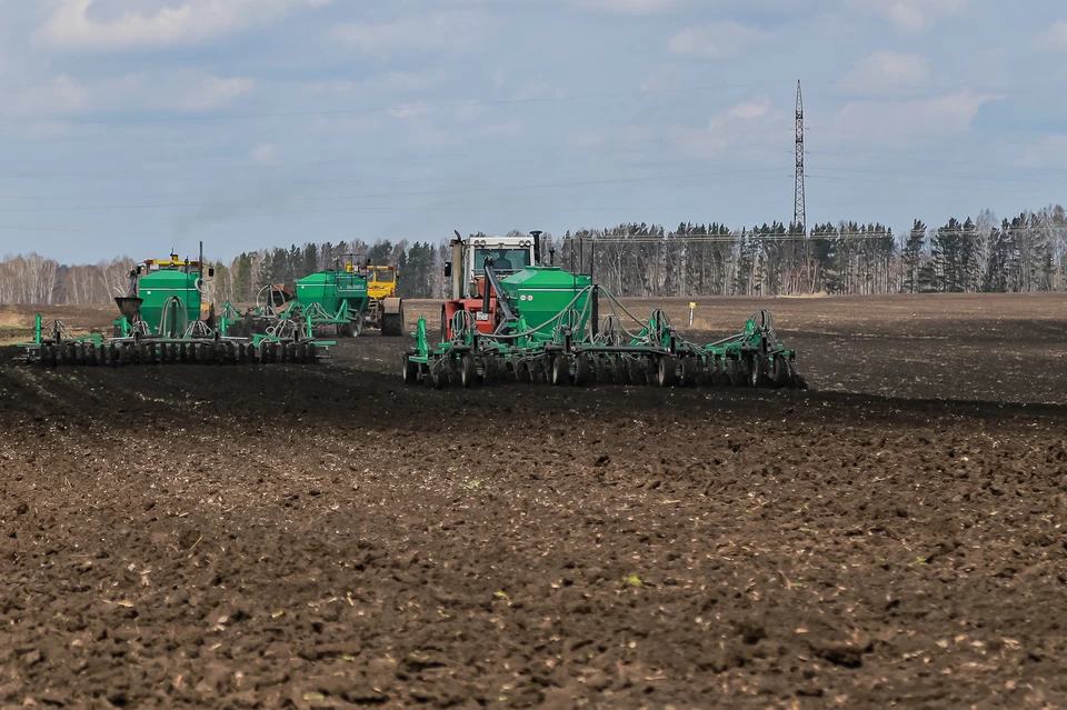 В Красноярском крае сельхозкультурами засеют более 1,5 миллиона гектаров