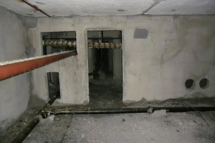 Тела в подвале: сотрудник УК в Кирове пришел из-за жалоб на запахи и нашел два трупа