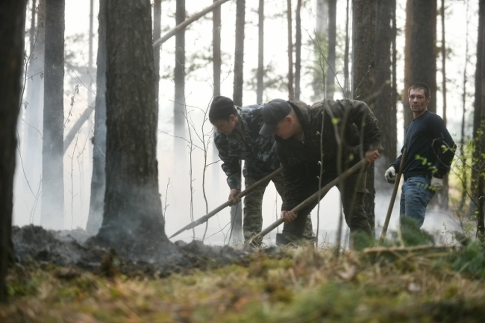 На тушение лесных пожаров в Ульяновской области выделено 4,4 миллиона рублей