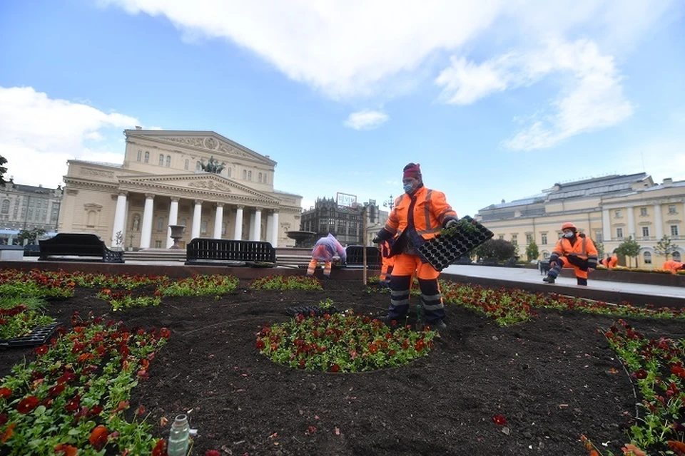 Вся рассада должна четко соответствовать ГОСТу