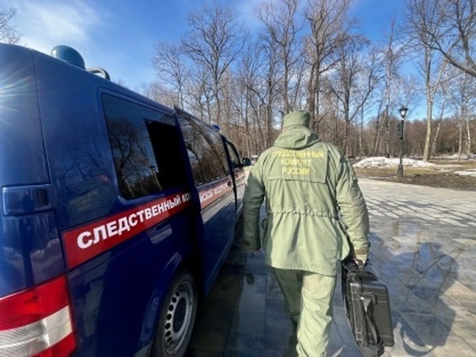 Фото: СУ СКР по Липецкой области