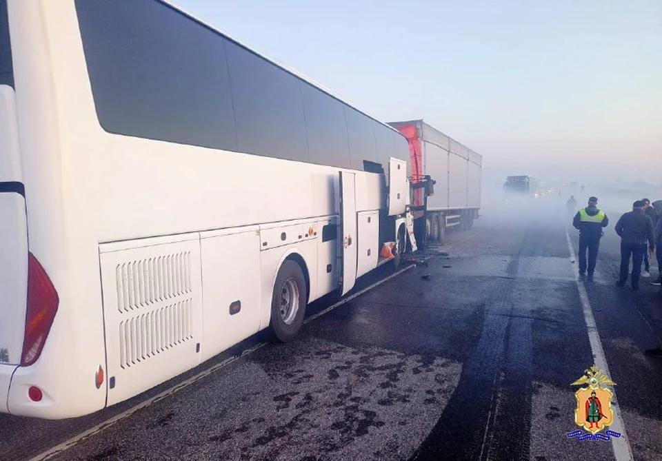 Столкновение произошло лоб в лоб в условия сильного тумана. Фото: УМВД по Рязанской области.