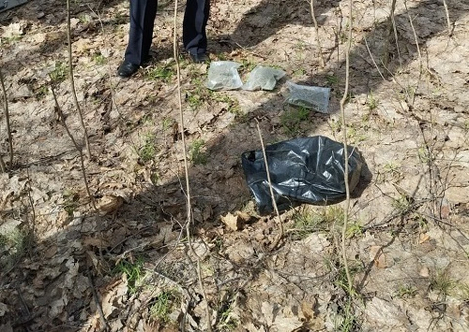 Фото опергруппы Воронежского заповедника