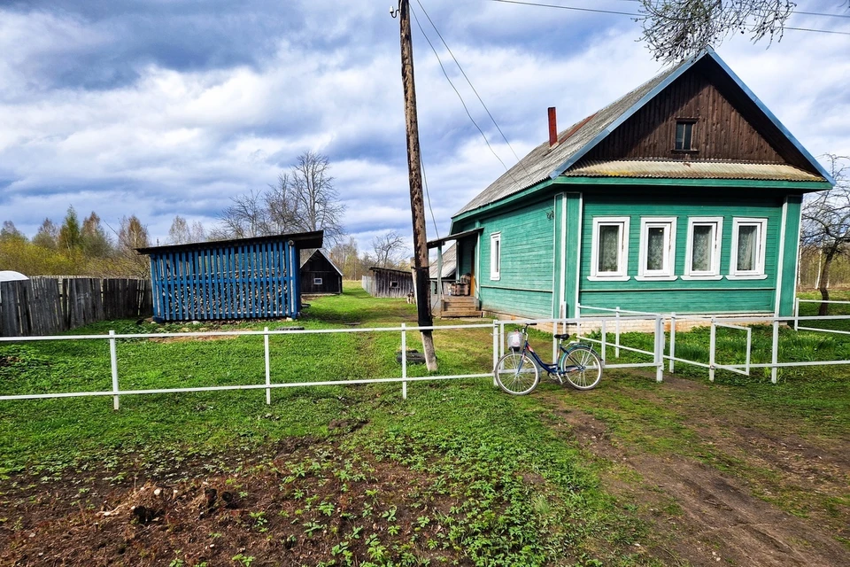 Пьяный мужчина зарезал знакомого в деревне Бабино Фото: СУ СК РФ по Тверской области