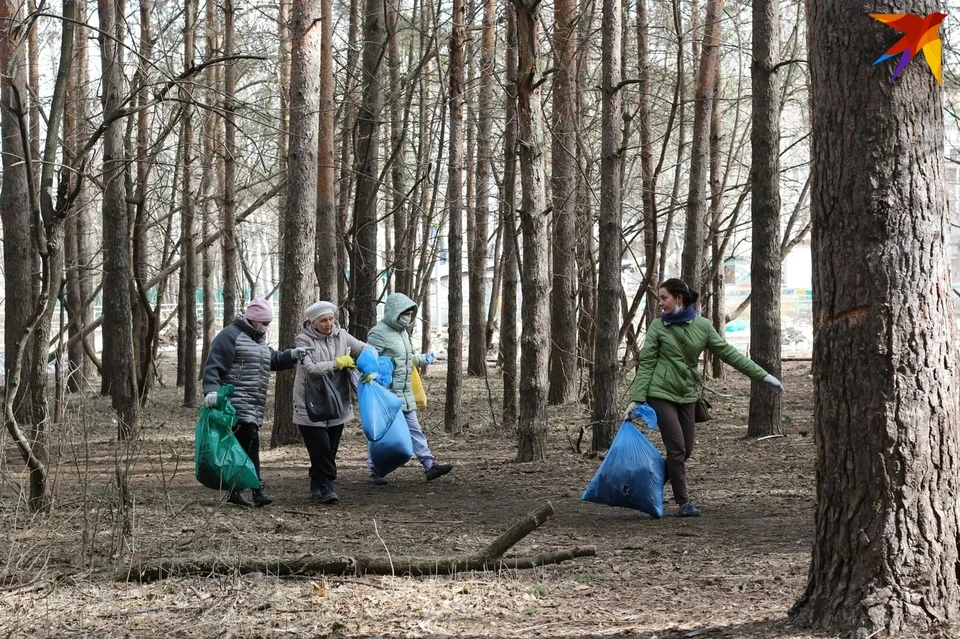 Участие в субботниках добровольно. Фото: Солодянкин Д.