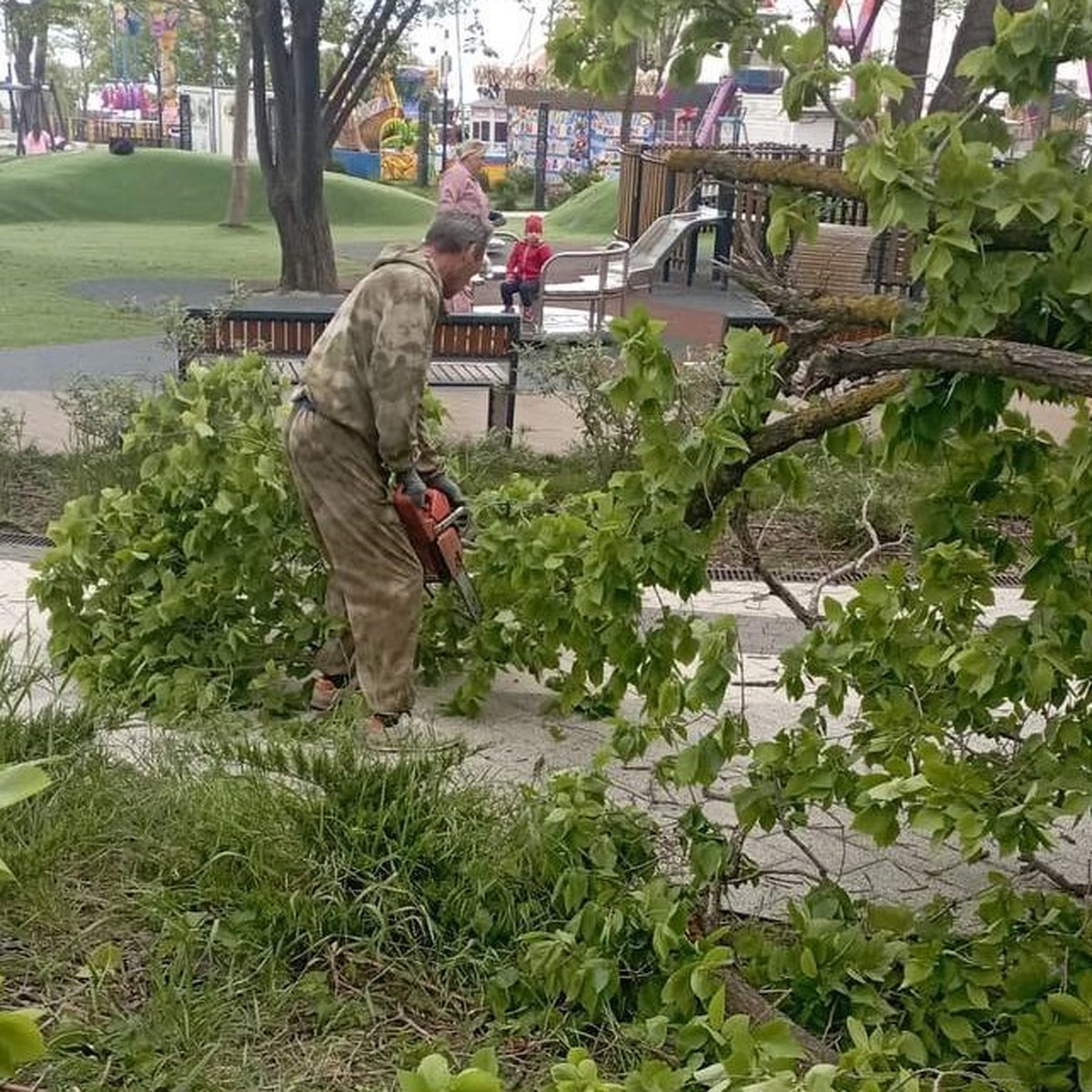 Ураган в Новороссийске 30 апреля 2024: в городе сносит деревья и срывает  капоты машин - KP.RU