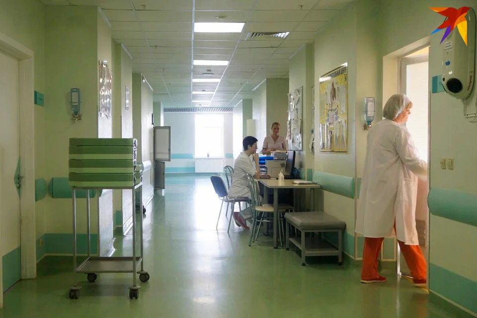 Две бойцовские собаки напали на парня-инвалида в Минске. Снимок носит иллюстративный характер.