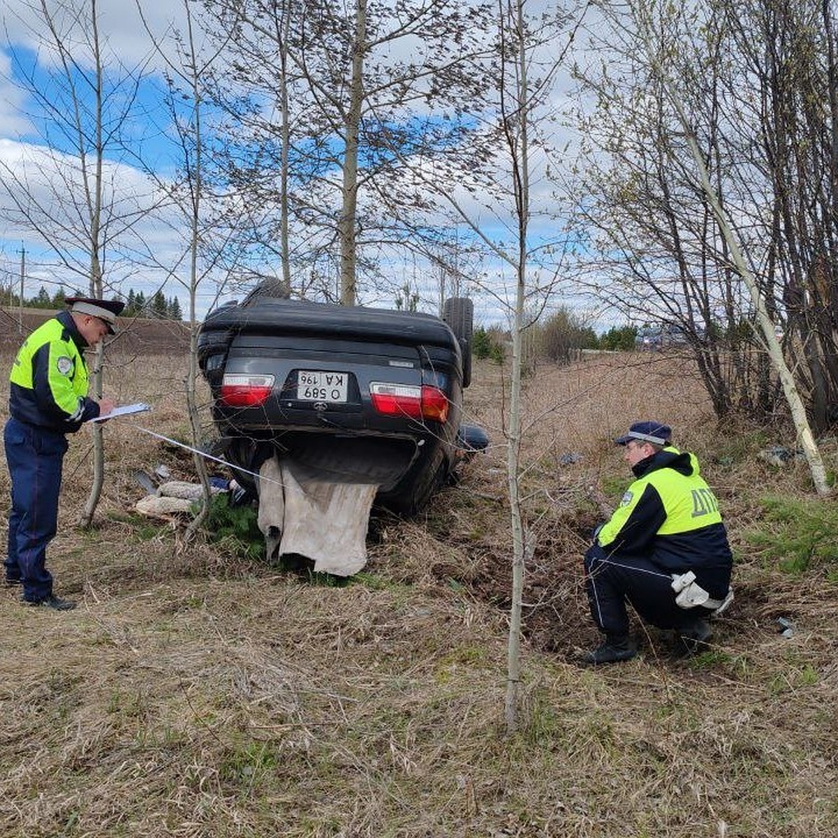 В Невьянском районе водитель погиб, перевернувшись и врезавшись в дерево -  KP.RU