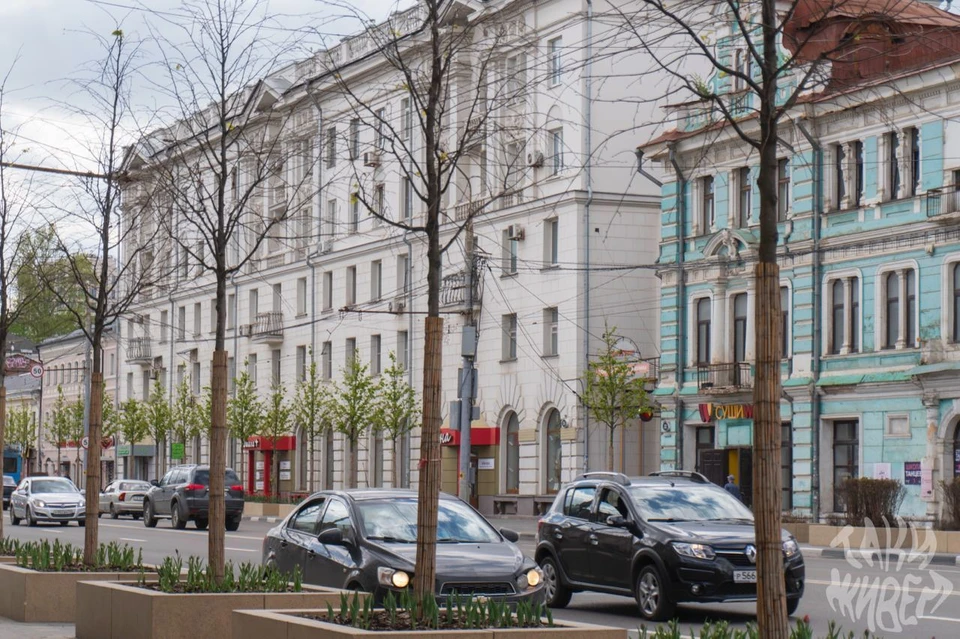 Туляки заметили, что зазеленели не все новые деревья на проспекте Ленина. Фото: ТГ-канал «Тула. Жесть».