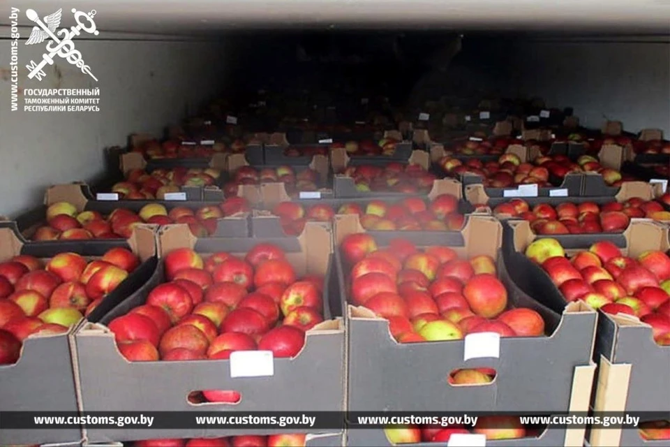 Перевозчики из Польши выдавали польские яблоки за молдавские. Фото: ГТК Беларуси