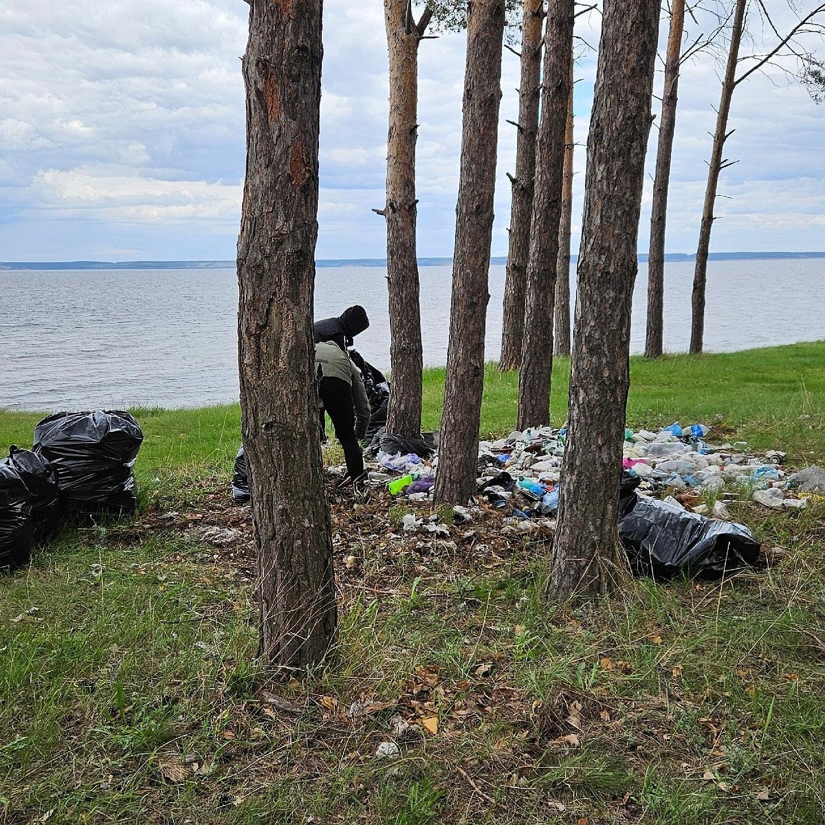 Активисты вывезли после отдыха ульяновцев на берегу Волги в Криушах горы  бутылок - KP.RU