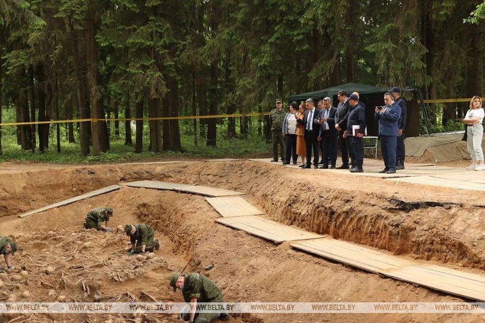 Специалисты за три года нашли уже 16 ям-могил жертв геноцида в урочище Уручье под Минском. Фото: архив БелТА.