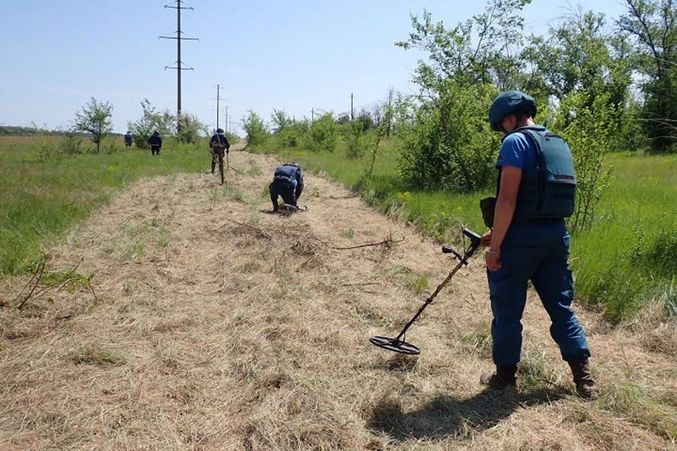 В ДНР более 30 тысяч гектаров сельхозугодий подлежат обследованию на наличие ВОП. Фото: МЧС России по ДНР