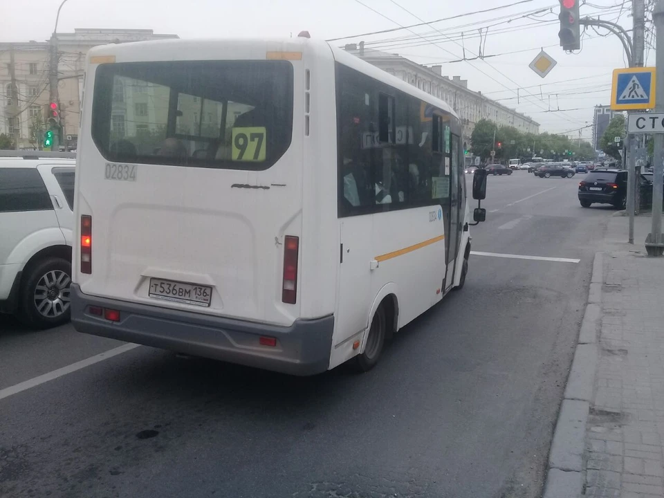 30 новых автобусов пойдут в Волоконовский район, Губкинский и Яковлевский округа.
