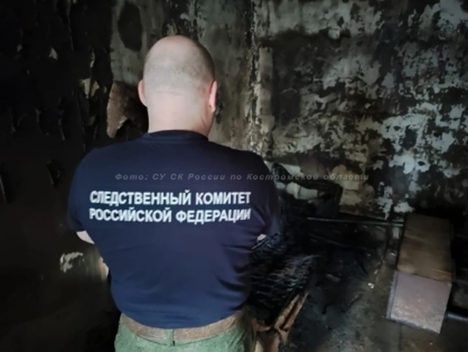 Фото: пресс-служба СУ СК России по Костромской области